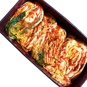[HACCP] 맛깔스런 신선 생김치 당일제조, 1개, 10kg
