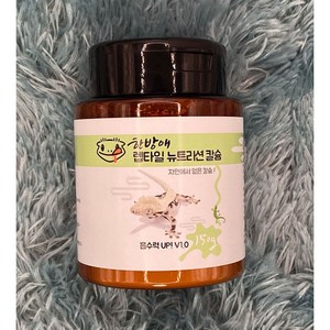 <벅스브라더스>한방애 칼슘제 렙타일 뉴트리션 귀뚜라미 밀웜 더스팅 도마뱀 파충류 도마뱀 보조사료, 1개, 100g