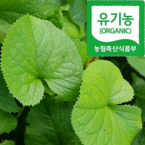 [오대산골짜기] 산지발송 최상품 [진짜배기] 곰취, 1박스, 250g