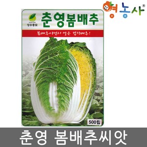 춘영 봄 배추 씨앗 500립 봄배추 종자 영농사, 춘영봄배추씨앗, 1개