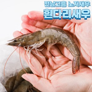 [오복이네] 국산 고흥 생물 왕새우 활 흰다리새우 생새우, 1개, 1kg(35미 내외)