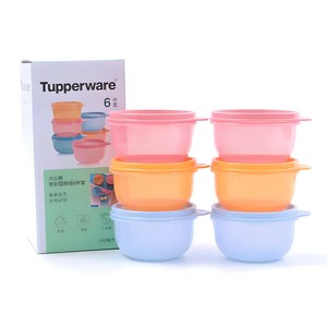 타파웨어 Tupperware냉동 국 보관용기 260ml 세트, 1세트