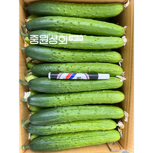 오이 백다다기 특 상 10kg 오이지용 생식용 못난이 당일경매, 못난이(상) 1박스 (10kg내외), 1개