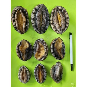 전복 대3미 중5미 소10미 사이즈 완도산 산지직송, 전복대3미