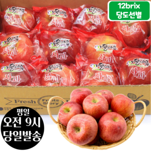[오전8시 주문건 당일발송] 12브릭스 당도선별 세척사과 2kg (8~10입 중과), 1개