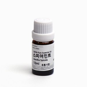 새로핸즈 천연 아로마 에센셜오일 스피아민트 허브오일 10ml, 단품, 1개