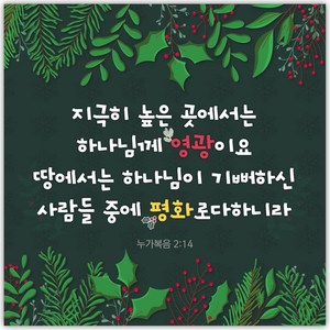 성탄절 현수막 - 하늘에는 영광 21260BLD