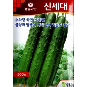 (씨앗) 신세대오이 - 가시오이 - 취청오이 - 불량과가 적은 오이 씨앗 종자 - 500립, 1개