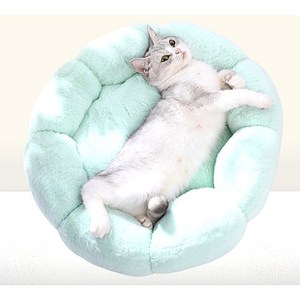 마이펫두잇 반려동물 썬플라워 도넛 방석, 1개, 민트