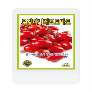 씨앗대장 KS종묘 로얄하니 레드 토마토씨 20립 토마토 씨앗, 1개