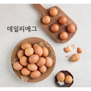 [HACCP인증] 맥반석 구운계란 대란 (+소금) 파손보상, 120구, 1개
