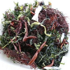 물만부어 불려먹는 완도 모듬 해초 샐러드 100g, 1개