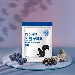 산과들에 건 블루베리 100g 4봉 400g 건과일, 4개