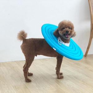 유앤펫 강아지 고양이 UFO 초경량 넥카라(시즌3), 1개