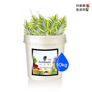 아로화(Aowha) 트로피칼 아로마 입욕제 (족욕제) 10kg 대용량 업소용 입욕 / 족욕 가루, 1개