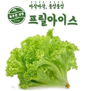 [늘푸른 상점] 프릴아이스 샐러드 채소 (택배) _국내산, 1kg, 1박스