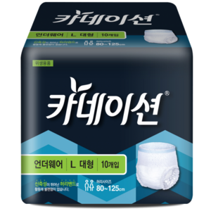 카네이션 언더웨어L(대형) 요실금팬티 4팩10매입 성인기저귀, 대형, 10개입, 4개