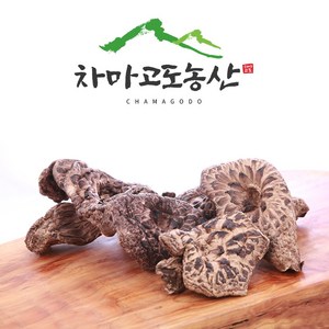 [차마고도농산]자연산 햇 능이버섯 B급 건조능이버섯100g, 1개, 100g(1개)