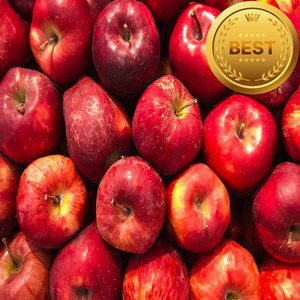 [고객만족도1위] 개별망포장 초고당도 경북사과 프리미엄 부사사과 꿀사과, 1박스, 정품 부사 꿀 사과 소꼬마과 19-21과 3kg 개별망