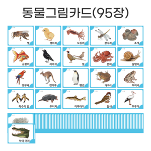 아이다보아 사물그림카드 낱말카드 한글카드 유아 첫카드, 동물세트(95장)
