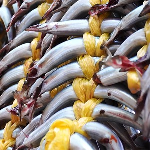 햇 양미리 반건조 1두름, 2개