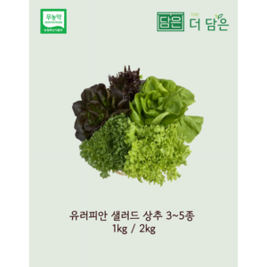 [친환경 무농약] 유러피안 샐러드 상추 채소 4~6종 1kg 2kg 로메인 버터헤드 크리스탈 유러피안 샐러드 스마트팜 수경재배( 전북 김제) 유러피안샐러드상추 쌈채소, 혼합, 1개