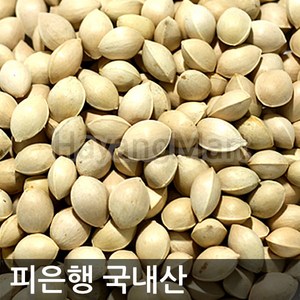 국산 피은행 1kg, 피은행1kg, 1개