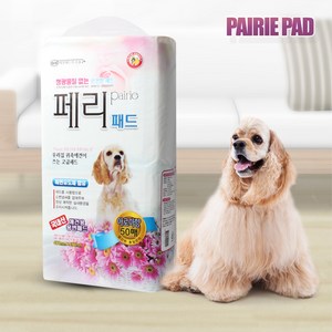 강아지 페리 배변패드 아로마향, 50개입, 1개