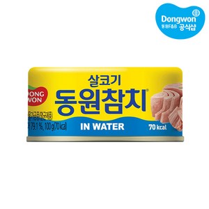 동원참치 동원 참치 인 워터, 100g, 10개