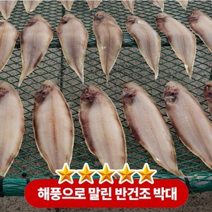 해풍으로 말린 군산 반건조 박대 특대 국산, 1개, 5미