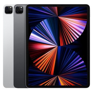 Apple 아이패드 프로 12.9 5세대 M1칩, 스페이스 그레이, 256GB, Wi-Fi