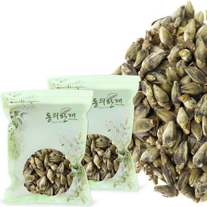 동의한재 국산 신이화 목련꽃봉우리, 100g, 2개