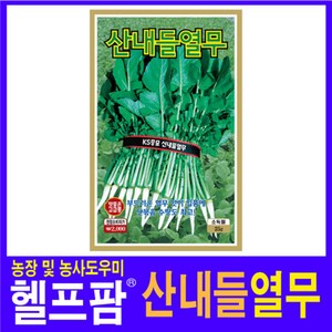 헬프팜 산내들열무 500g 무씨 씨앗 종자 KS종묘, 1개