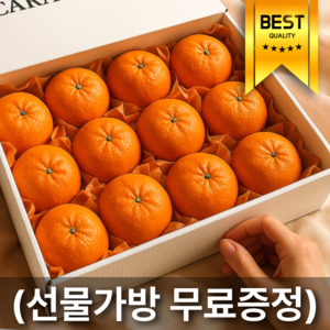 [가정의달빅세일] 16bix 제주명품 카라향 한라봉 어버이날선물, 1개, 카라향3kg (로얄과/선물세트)