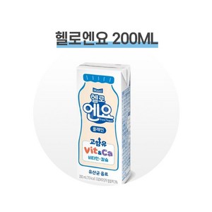 엔요 유산균음료 플레인, 200ml, 12개