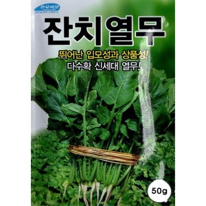 (씨앗) 잔치열무 - 맛있는 열무 - 엽색이 진한 고급 열무 씨앗 종자 - 다소 많은 포장 - 50g, 1개