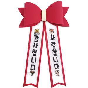 꽃요정 에바폼 아기화환 인간화환 스승의날 어버이날, 1개, 감사합니다 / 사랑합니다