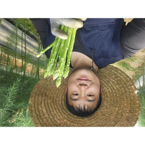 국산 생 아스파라거스 ( 얇은 ), 1개, 2kg