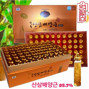 천종 산삼 배양근 20ml *60병 (산삼 배양근 85.07%) 산삼배양근 부모님선물 명절선물 거래처선물, 1박스, 1.2l