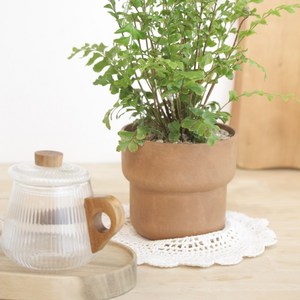 담따 빈티지 화분 바스켓라인 친환경 화분 No plastic 나무로 만들어진 친환경 화분, 1개, 메이플 브라운