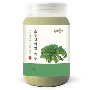 동의한재 국산 소루쟁이잎 가루 분말, 300g, 1개