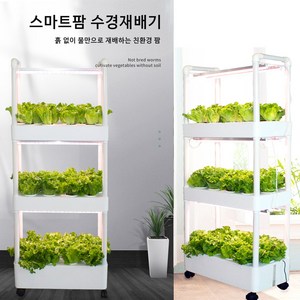 3단 수경재배기 아파트 베란다 야채 재배 LED 스마트팜 상추키우기, X, 1개