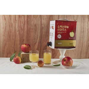 대용량 친환경포장재 소백산하늘사과주스, 1개, 5L
