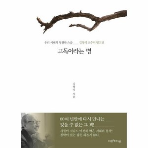 고독이라는 병:우리 시대의 영원한 스승 김형석 교수의 명고전, 비전과리더십