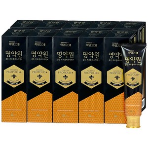 죽염 명약원 골든프로폴리스 잇몸 치약 플러스, 120g, 10개