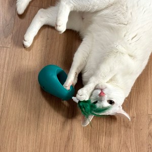 멍냥이노리터 고양이 캣닢 볼 사냥놀이 셀프 오뚜기 장난감, 초록이, 1개