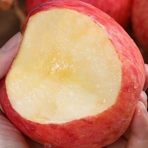 [봄맞이특가] 사과의맛 부사 못난이사과 흠집, 1개, 3kg