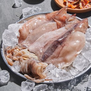 삼삼해물 국산 반건조 오징어 쫄깃 두툼한 오징어피데기, 1개, 국내산 반건조 10미(중)