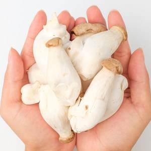 산정마을 국내산 꼬마 새송이버섯, 2kg, 1개