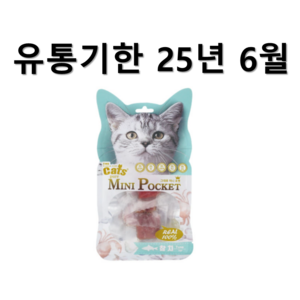 더캣츠 그대로 미니포켓 고양이 간식, tuna(참치), 40g, 10개